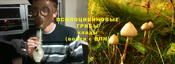 тгк Алексин