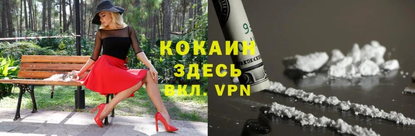 тгк Алексин